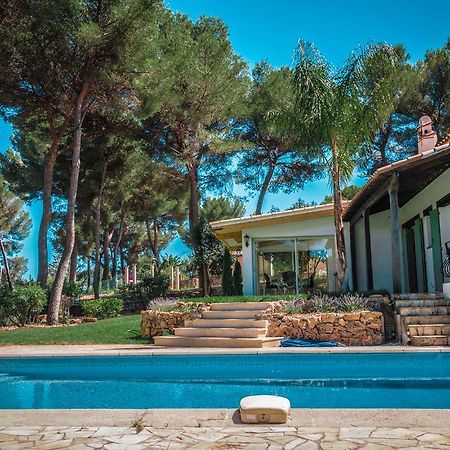 Villa Defendum Vallauris Exterior photo